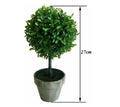 Artificial Boxwood in Pot 27cm V637-AFL23220