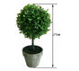 Artificial Boxwood in Pot 27cm V637-AFL23220