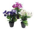 Set 3 Artificial Flowers in Pot Assort 21cm V637-AFL23221