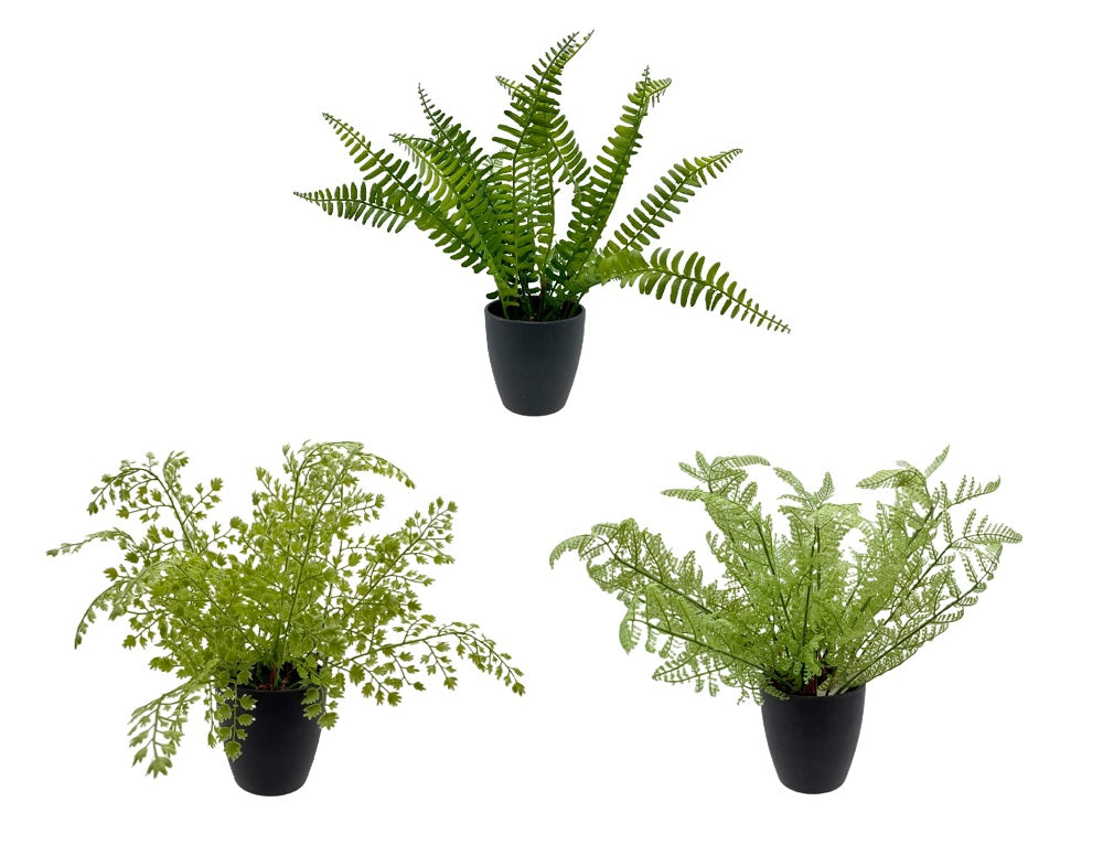 Set 3 Artificial Greenery in Pot Assort 21cm V637-AFL23222