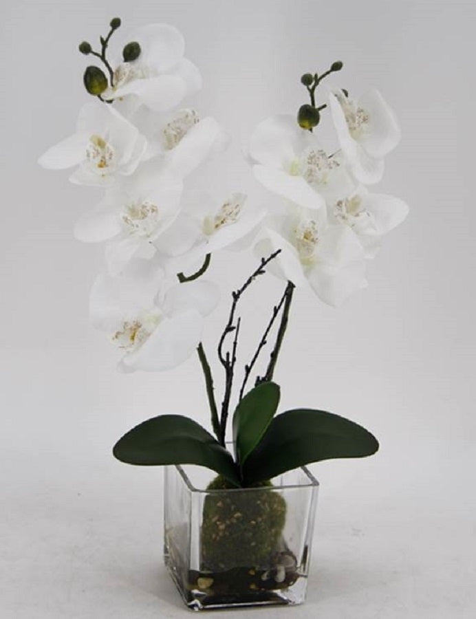 Artificial Orchid in Glass Pot 10x45cm V637-AFL23226