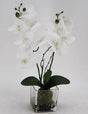 Artificial Orchid in Glass Pot 10x45cm V637-AFL23226