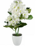 Artificial White Hydranger in White Plastic Pot 10x46cm V637-AFL23251