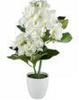 Artificial White Hydranger in White Plastic Pot 10x46cm V637-AFL23251