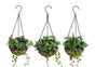 Set 3 Artificial Hanging Succulents 38cm V637-AFL24484