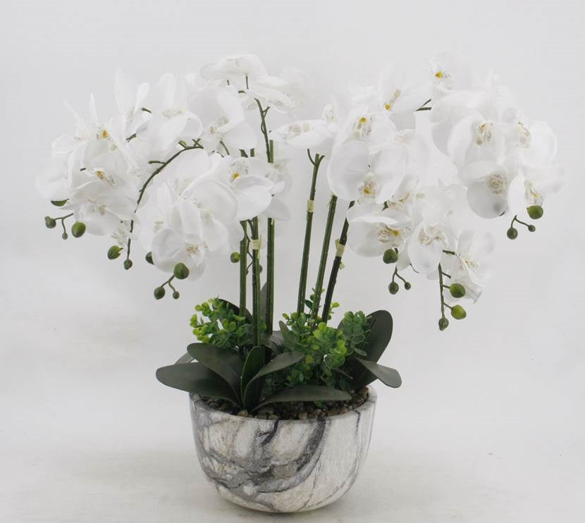 Large White Orchid In Marble Look Pot 64cm V637-AFL24778