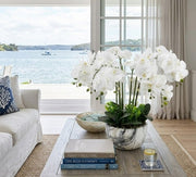 Large White Orchid In Marble Look Pot 64cm V637-AFL24778