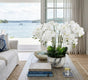 Large White Orchid In Marble Look Pot 64cm V637-AFL24778