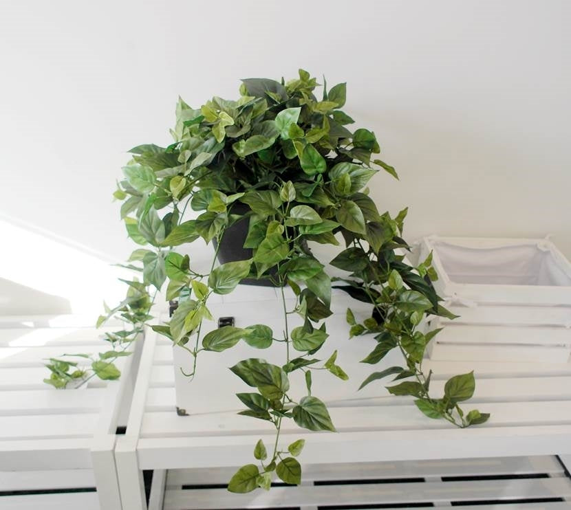 Artificial Ivy in Black Plastic Pot 76cm V637-AFL24975