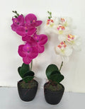 Set 2 Artificial Single Stem Orchid in Plastic Pot 32cm V637-AFL24991