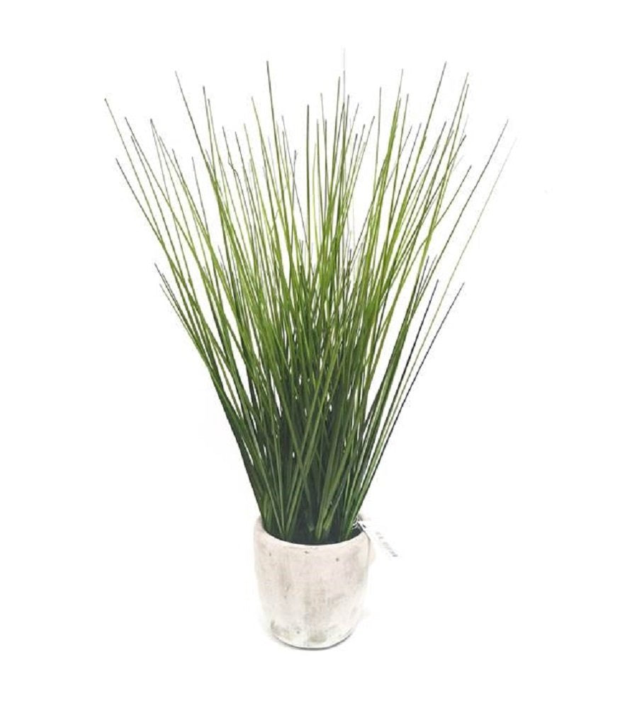 Artificial Grass in cement vase V637-AFL27798