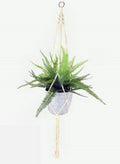 Artificial Hanging Fern Plant in Pot 95cm V637-AFL28322