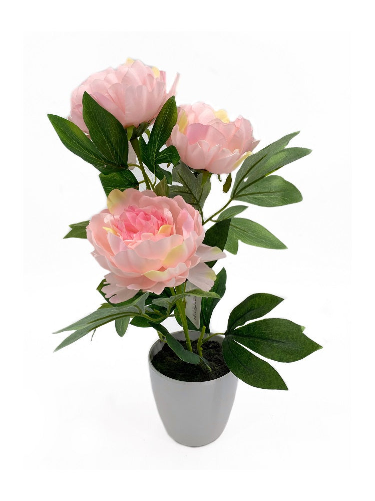 Artificial 3 Stem Peony In Plastic Pot 15x44cm V637-AFL28361