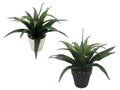 Set 2 Aloe Vera Plant In Plastic Pot 7x25cm V637-AFL28364