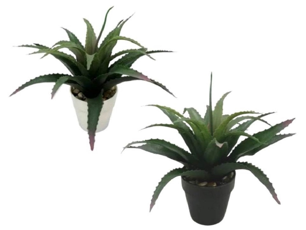Set 2 Aloe Vera Plant In Plastic Pot 7x25cm V637-AFL28364