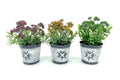 Set 3 Artificial Brocollini In Tin Pot 7x21cm V637-AFL28374