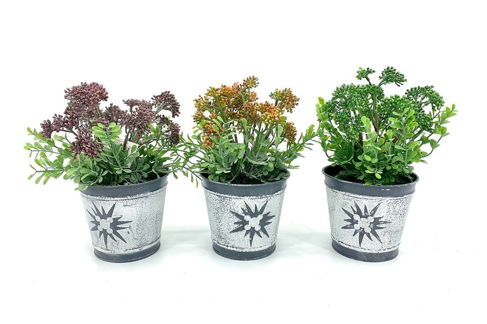 Set 3 Artificial Brocollini In Tin Pot 7x21cm V637-AFL28374