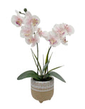 Artificial Orchid Yellow in Ceramic Pot 42cm V637-AFL29798
