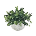 Artificial Greenery Plant in Ceramic Pot 21cm V637-AFL29799