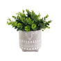 Artificial Grass in Cement Pot 23cm V637-AFL29801