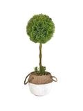 Artificial Single Ball Topiary in Cement Pot 43cm V637-AFL29805