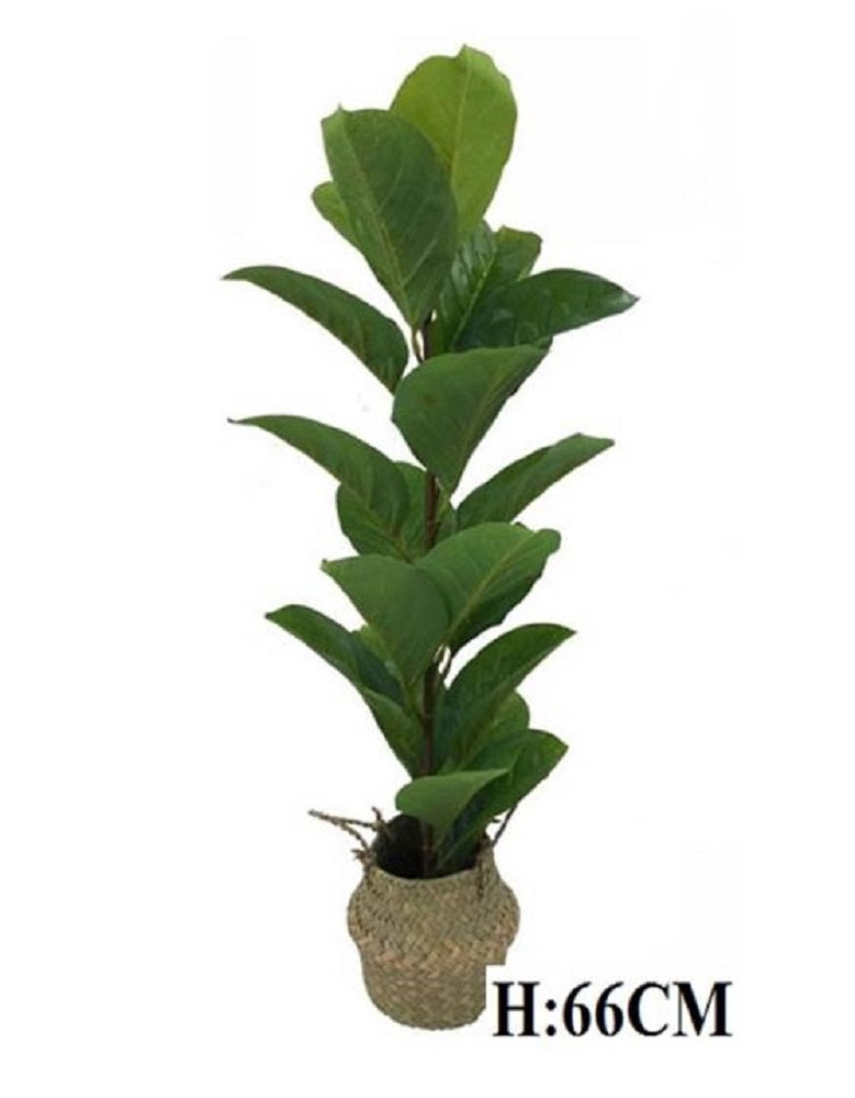Artificial Decorative Plant in Basket Tree 66cm V637-AFL30233
