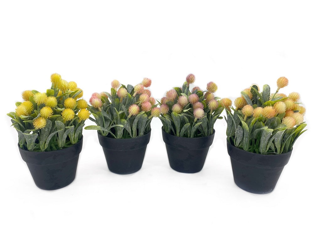 Set 4 Artificial Protea in Pot Assort 20cm V637-AFL30268