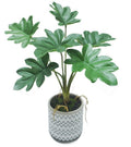 Artificial Philodendron In Ceramic Pot 7x31cm V637-AFL30467P