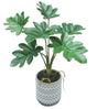 Artificial Philodendron In Ceramic Pot 7x31cm V637-AFL30467P