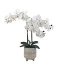 Artificial Orchid in Ceramic Pot 58cm V637-AFL30726