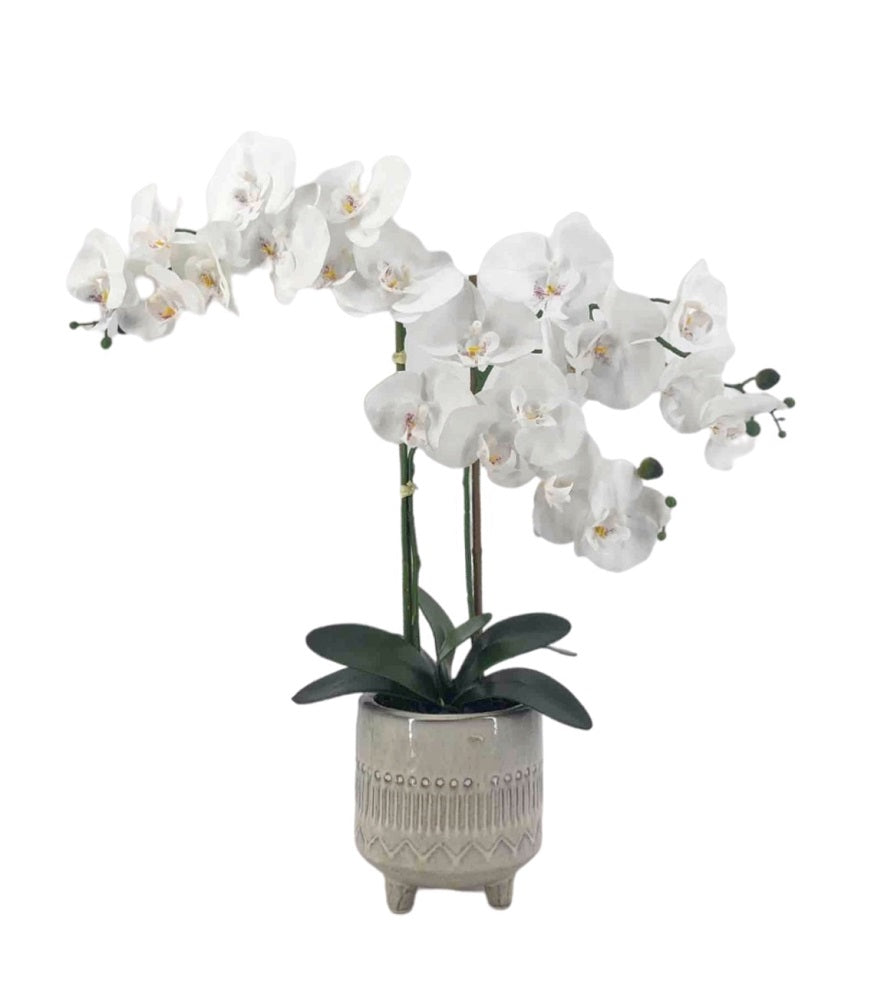 Artificial Orchid in Ceramic Pot 58cm V637-AFL30726