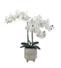 Artificial Orchid in Ceramic Pot 58cm V637-AFL30726