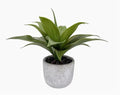 Artificial Aloe Vera in Cement Pot 36cm V637-AFL30756