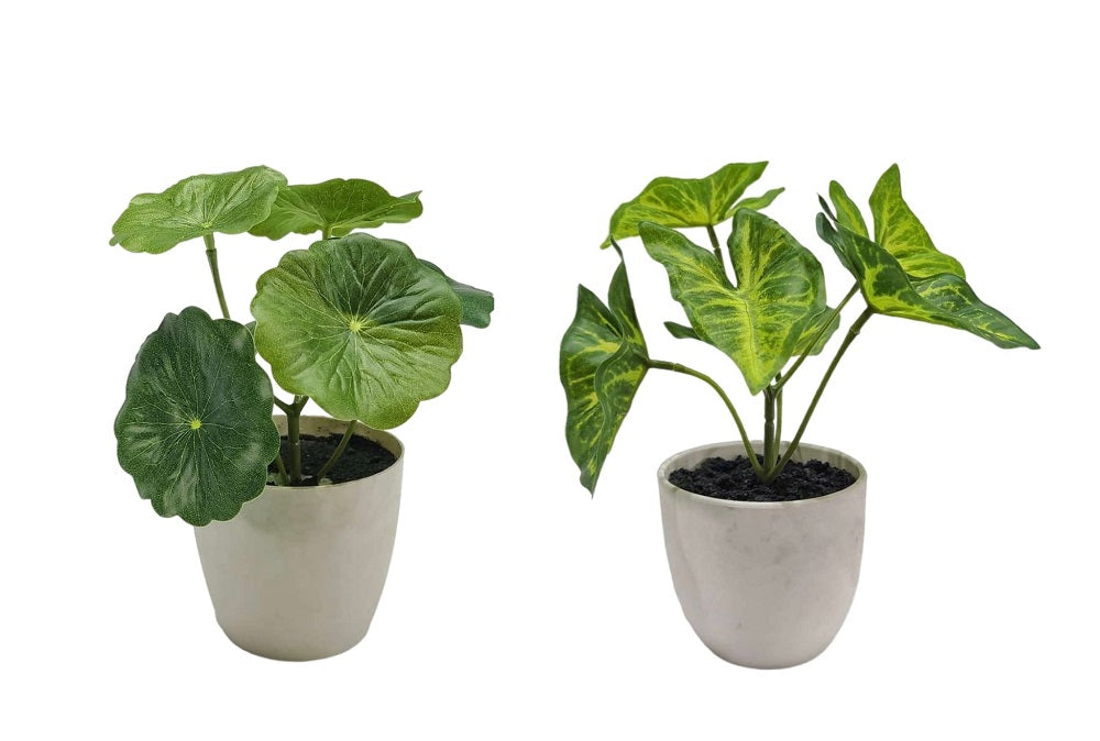 Set 2 Artificial Taro & Lotus Plant In Plastic Pot 7x15cm V637-AFL30967
