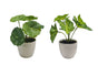 Set 2 Artificial Taro & Lotus Plant In Plastic Pot 7x15cm V637-AFL30967