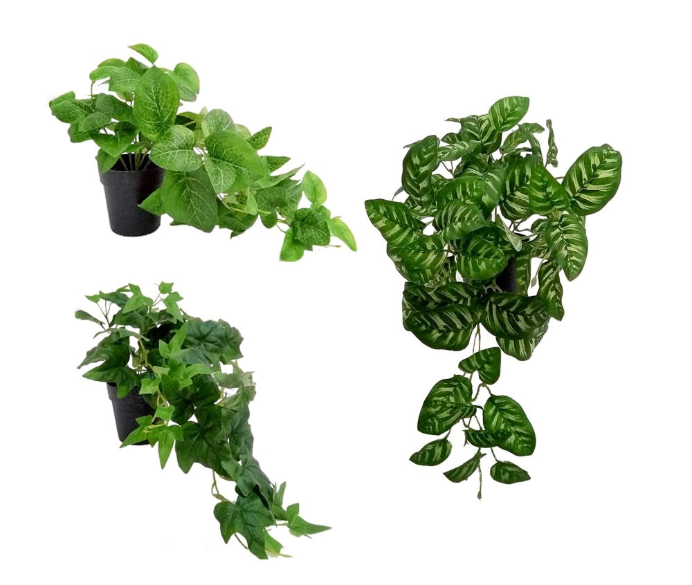 Set 3 Artificial Peacock in Pot Assort 38cm V637-AFL31378