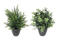 Set 2 Artificial Grass in Pot Assort 25cm V637-AFL31379