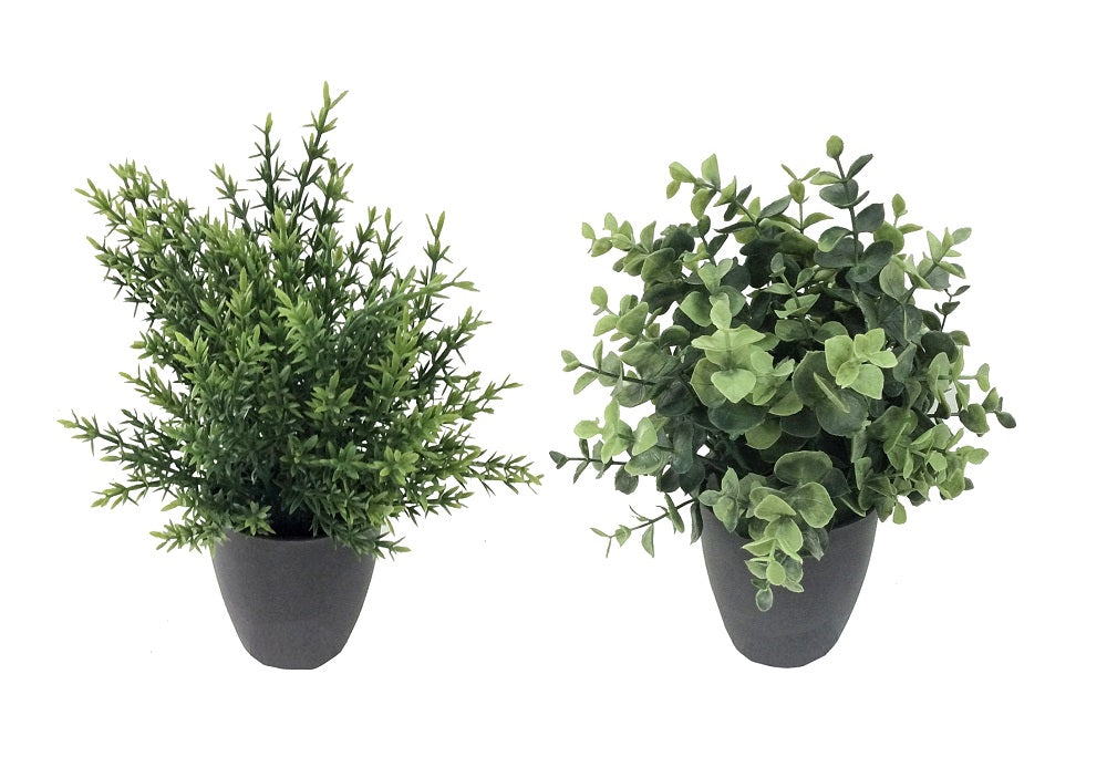 Set 2 Artificial Grass in Pot Assort 25cm V637-AFL31379