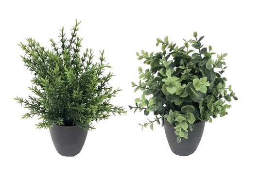 Set 2 Artificial Grass in Pot Assort 25cm V637-AFL31379