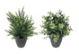 Set 2 Artificial Grass in Pot Assort 25cm V637-AFL31379