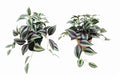 Set 2 Artificial Inch Plant in Pot Assorted 23cm V637-AFL31755