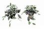 Set 2 Artificial Inch Plant in Pot Assorted 23cm V637-AFL31755