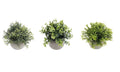 Set 3 Artificial Plant in Cement Pot Assort 18cm V637-AFL31756