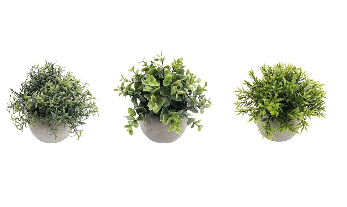 Set 3 Artificial Plant in Cement Pot Assort 18cm V637-AFL31756