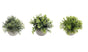 Set 3 Artificial Plant in Cement Pot Assort 18cm V637-AFL31756
