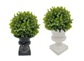 Set 2 Artificial Topiary in Urn Pot Assort 22cm V637-AFL31757