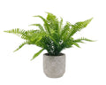Artificial Fern in Ceramic Pot 43cm V637-AFL32068