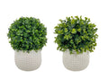 Set 2 Artificial Boxwood Topiary Ball in Ceramic Pot 29cm V637-AFL32070