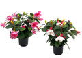 Set 2 Artificial Bellflower in Pot 35cm V637-AFL32190