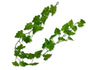 bulk 12 Artificial Green Ivy Garland 180cm V637-AFL33879